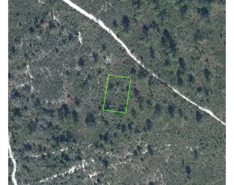 8121 Armisha Sebring FL 33870
