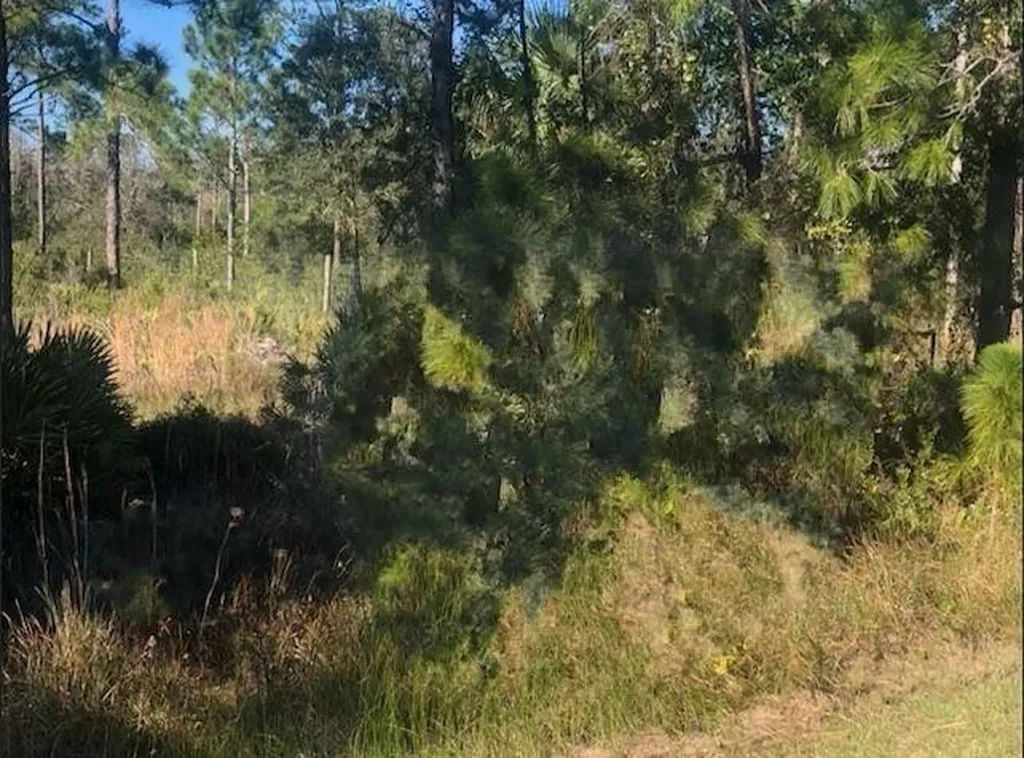 0 Kenansville Okeechobee FL 34739