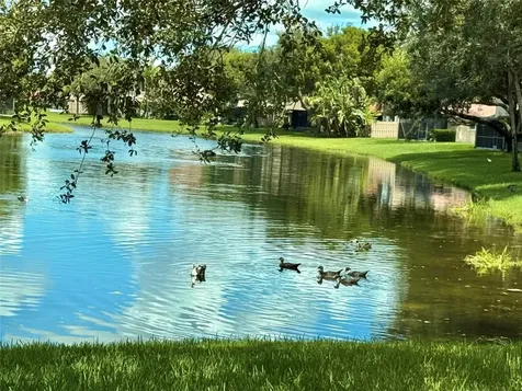 1654 SW 109th Terrace Davie FL 33324