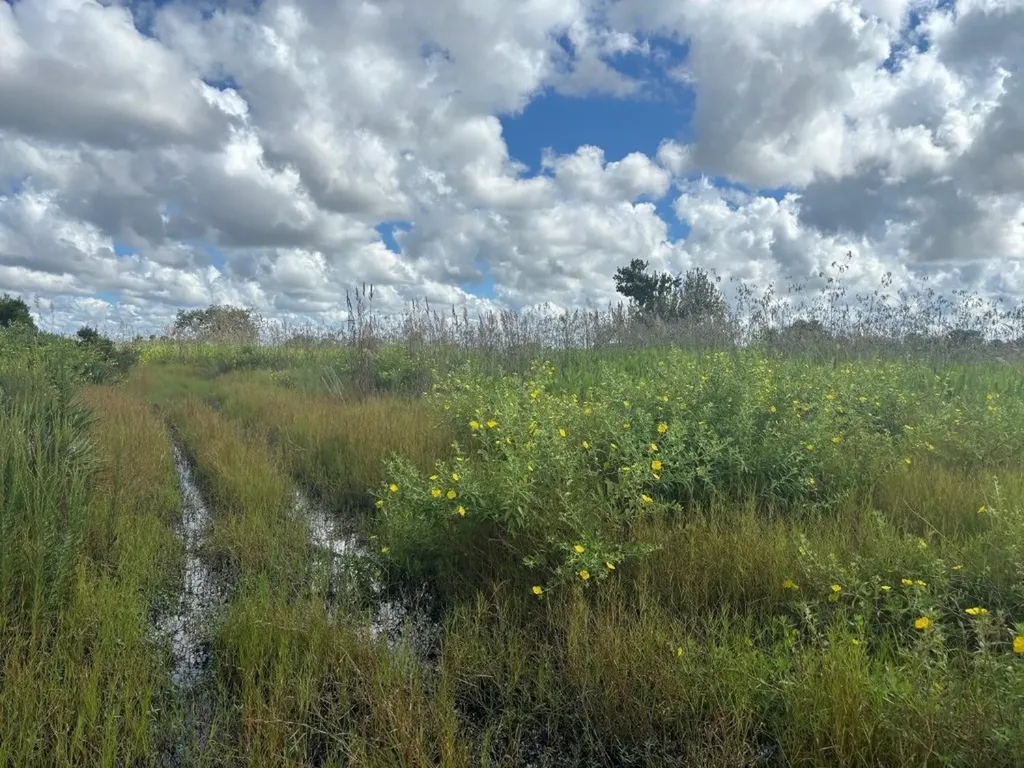 0 NW 316th Street Okeechobee FL 34972