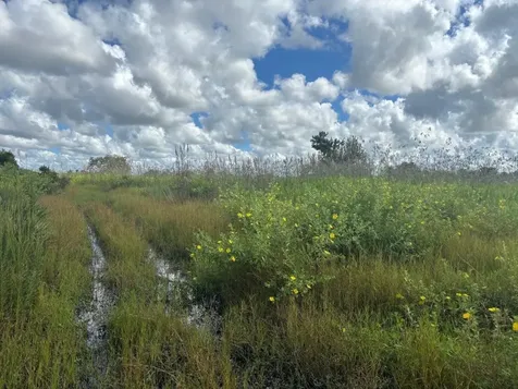 0 NW 316th Street Okeechobee FL 34972