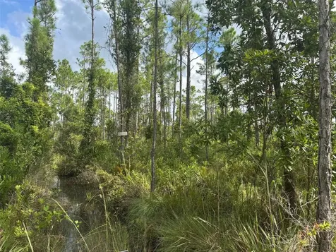 0 Co Road Lake Wales FL 33898