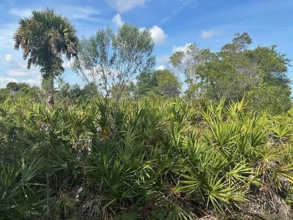 0 NW 310th Street Okeechobee FL 34972