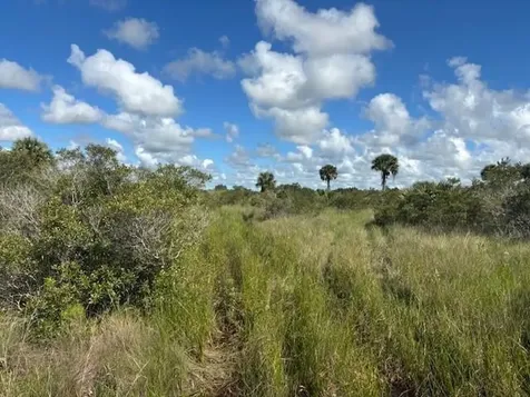 0 NW 310th Street Okeechobee FL 34972