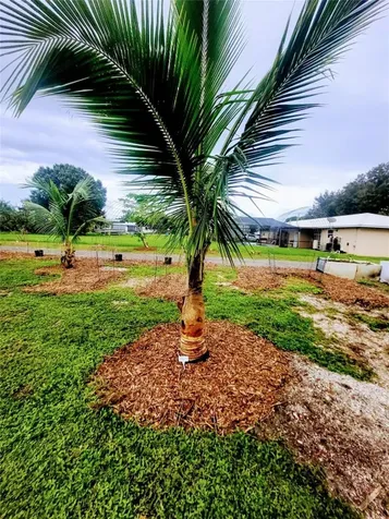 136 SW 85th Avenue Okeechobee FL 34974