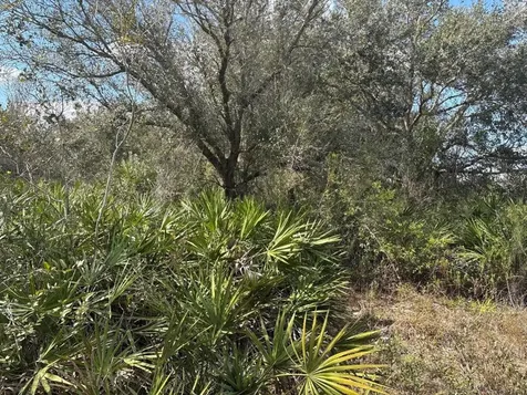 0 NW 300th Street Okeechobee FL 34972