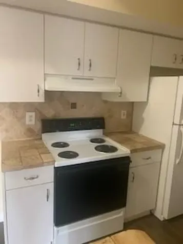 3251 Sabal Palm Manor Davie FL 33024