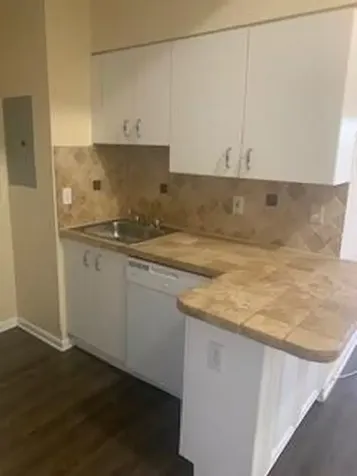 3251 Sabal Palm Manor Davie FL 33024