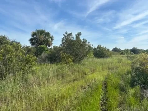 0 NW 310th Street Okeechobee FL 34972