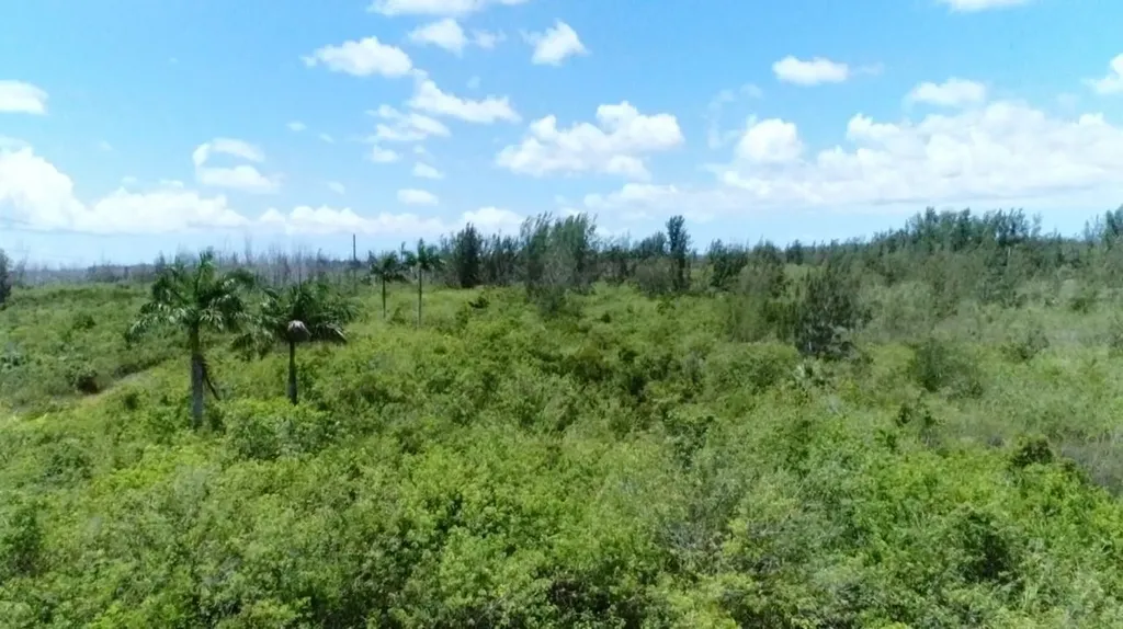 0 Unknown Florida City FL 33035