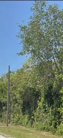 167TH & Card Sound Road Homestead FL 33035