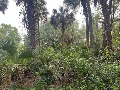 15148 NW 288th Street Okeechobee FL 34972