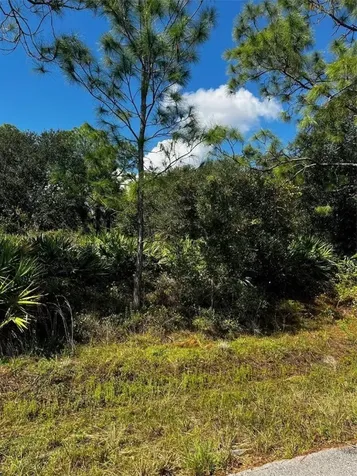 1221 Hamilton Avenue Lehigh Acres FL 33972