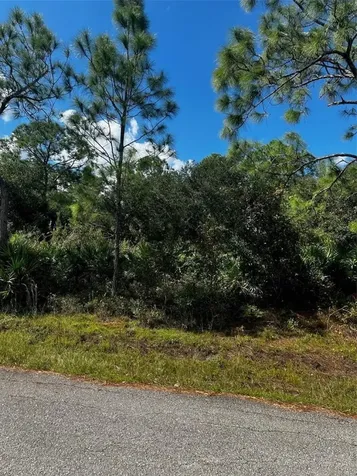 1221 Hamilton Avenue Lehigh Acres FL 33972