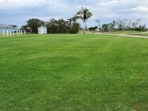 2101 SW 25th Terrace Cape Cape Coral FL 33914