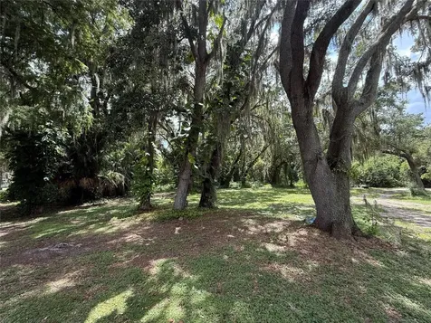 1617 Birch Street Lake Placid FL 33852