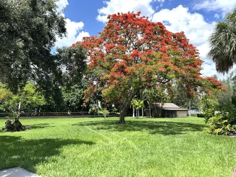 6200 SW 183rd Way Southwest Ranches FL 33331