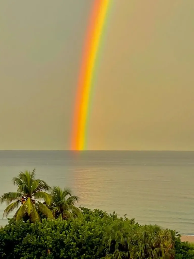 1800 S Ocean Boulevard Lauderdale By The Sea FL 33062