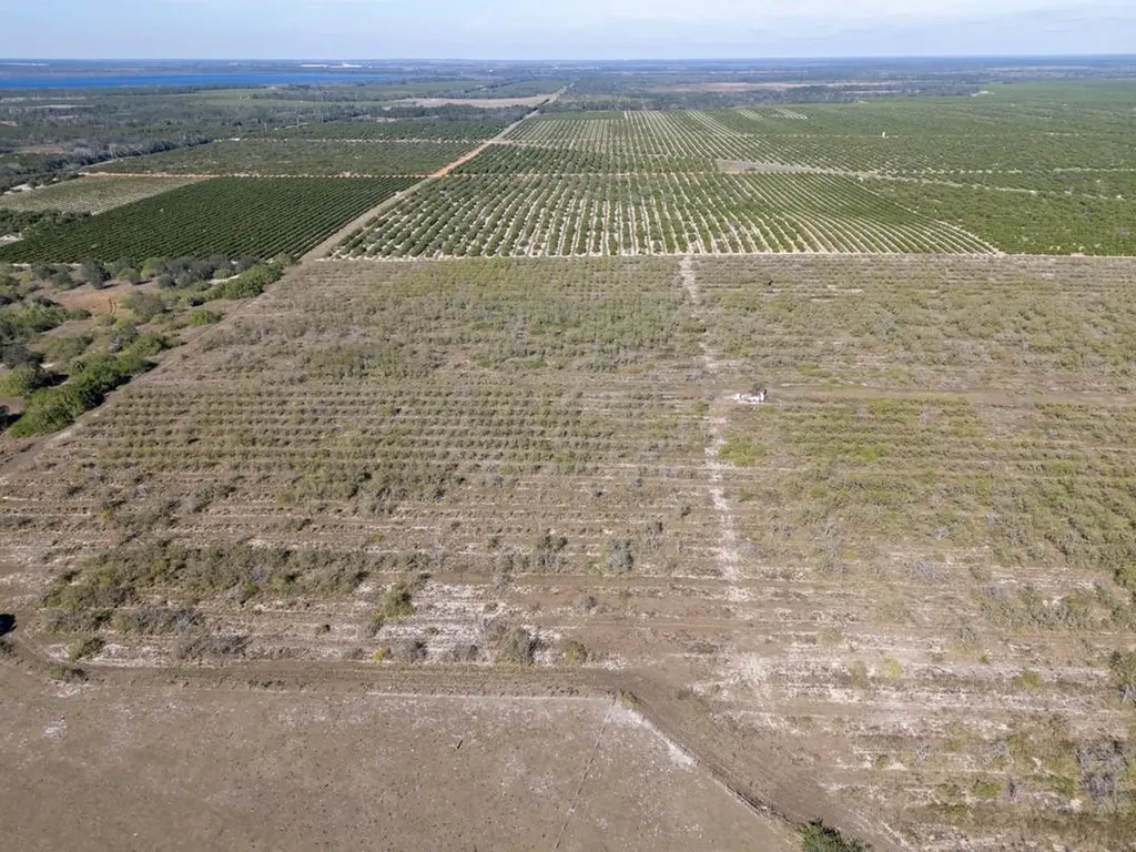 3073 Cr 627 Avon Park FL 33825
