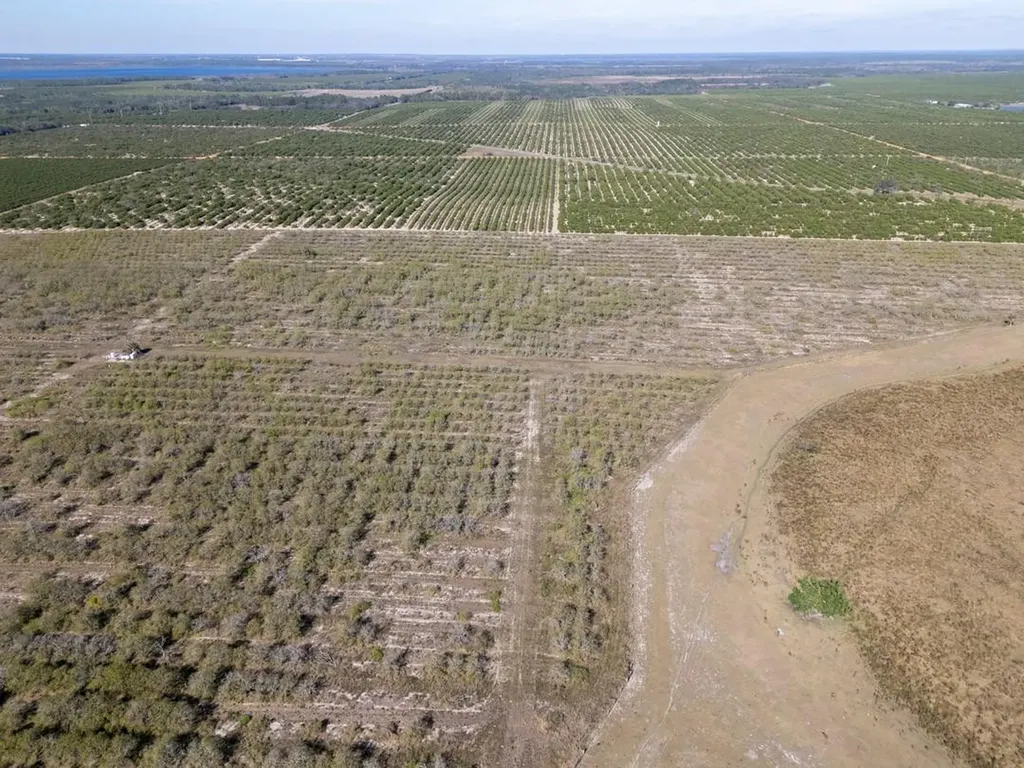 3073 Cr 627 Avon Park FL 33825