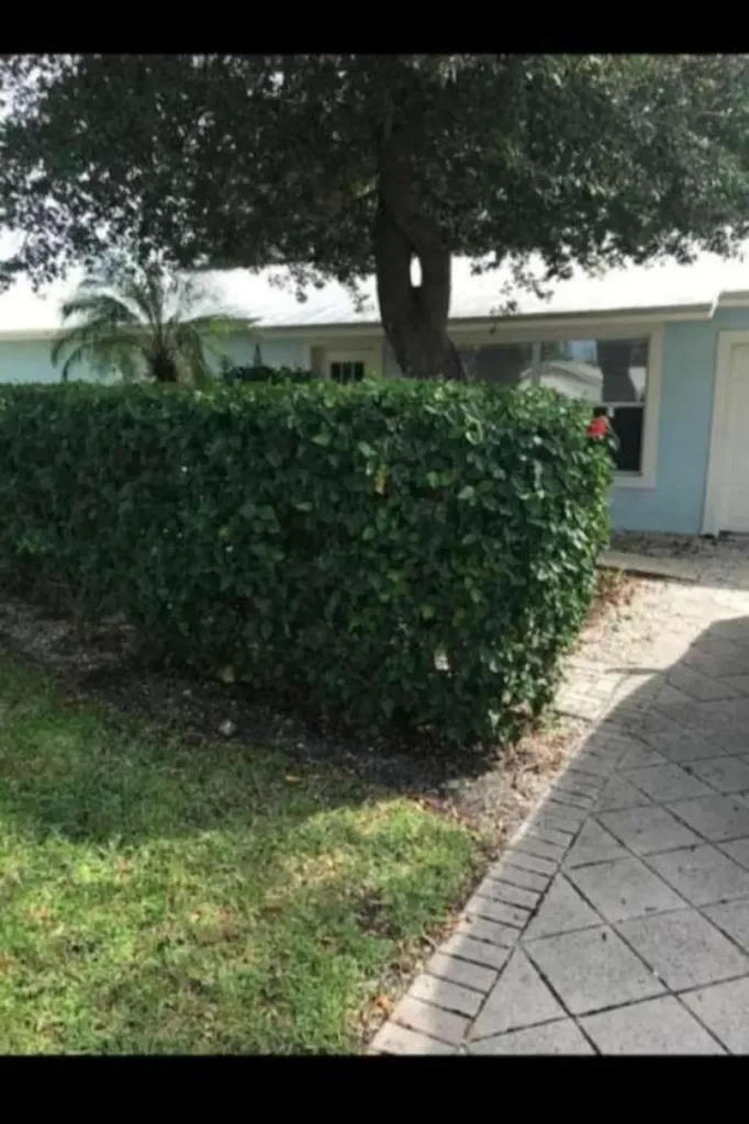 7982 SE Helen Terrace Hobe Sound FL 33455