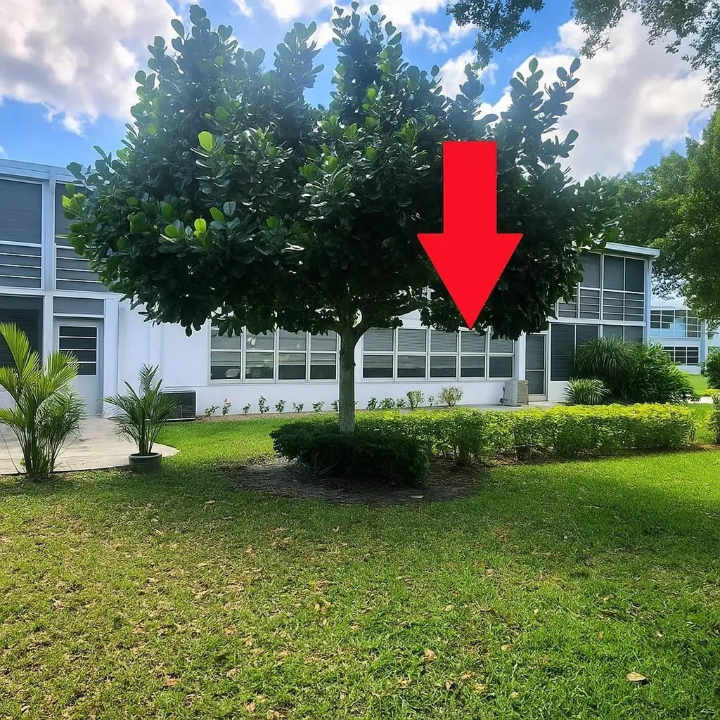194 Newport L Deerfield Beach FL 33442