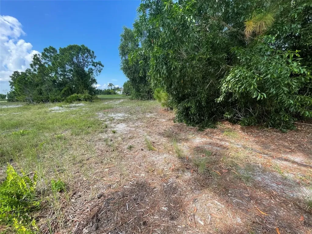 4513 NW 34th Place Cape Coral FL 33993