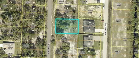 4513 NW 34th Place Cape Coral FL 33993