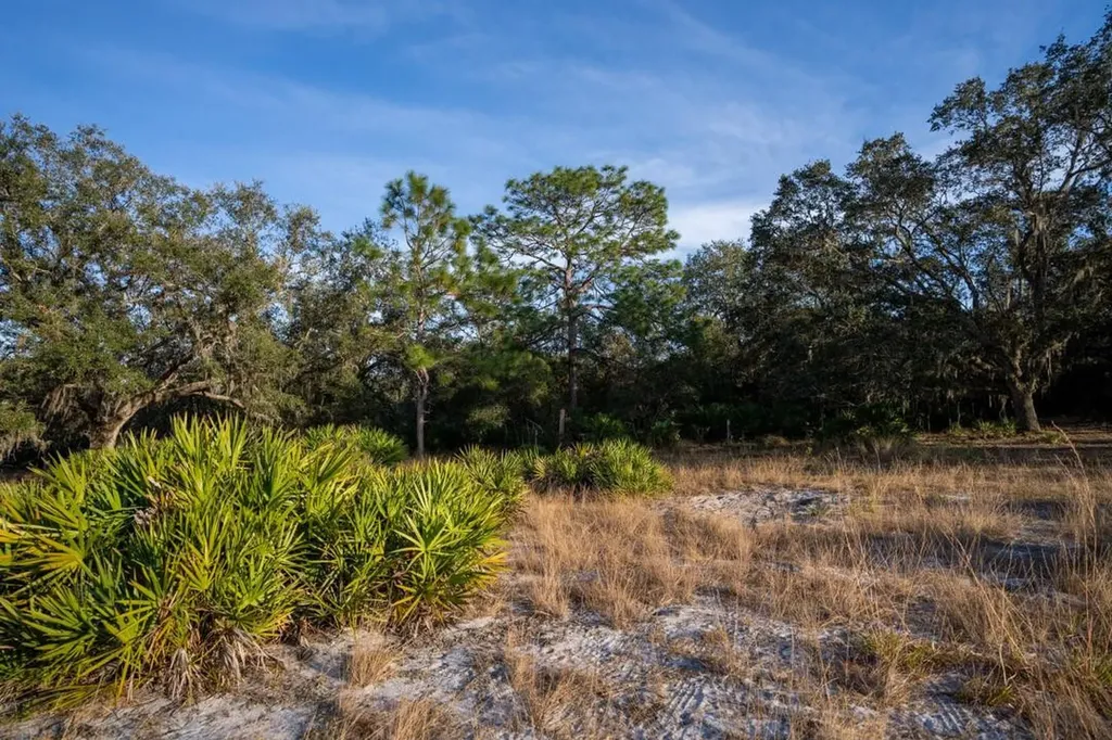 0 Lake Hatcheneha Haines City FL 33844