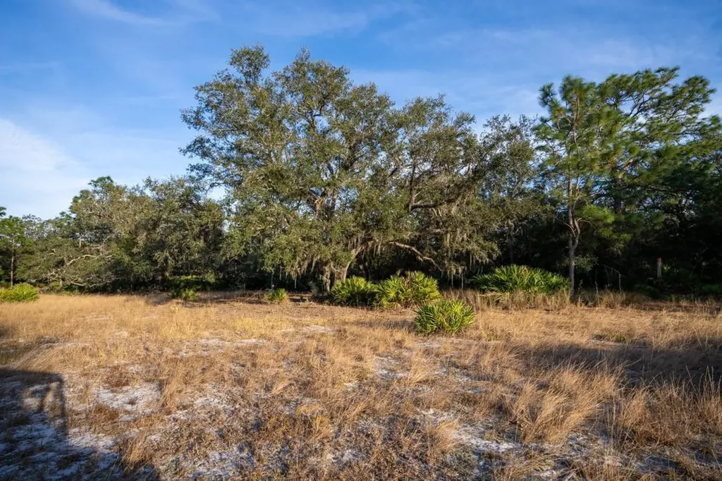 0 Lake Hatcheneha Haines City FL 33844