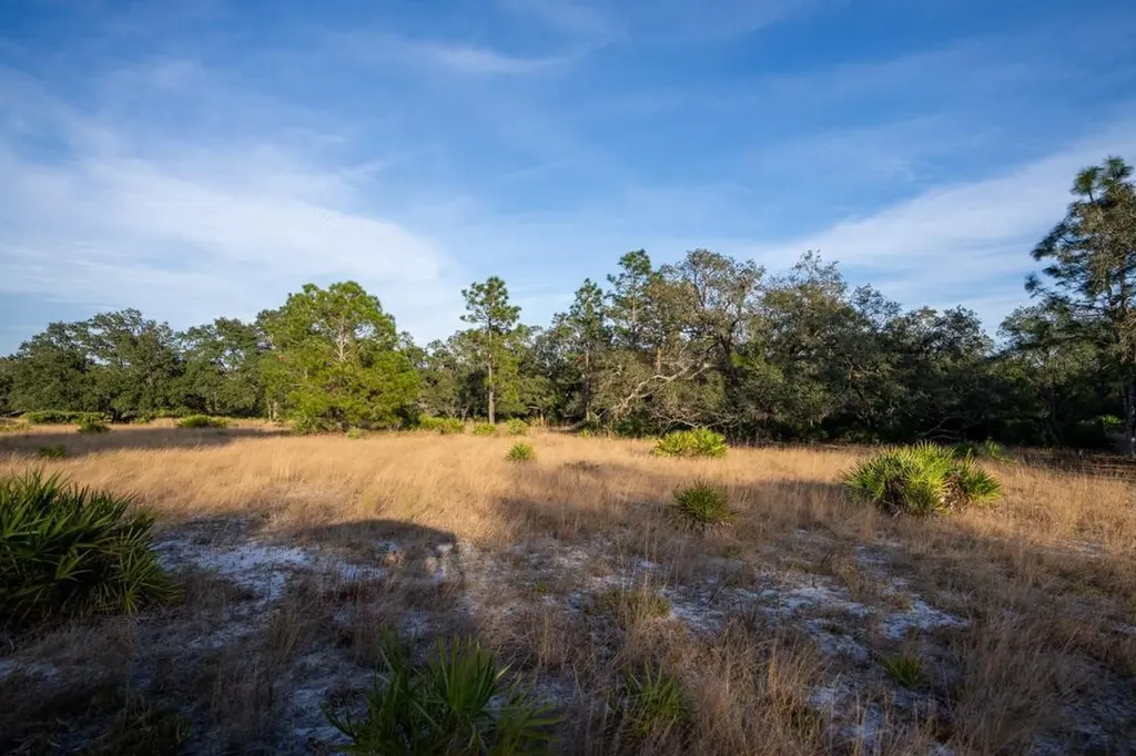 0 Lake Hatcheneha Haines City FL 33844