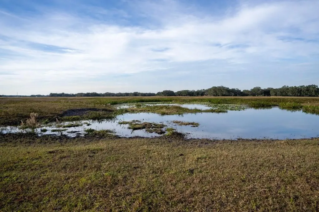 0 Lake Hatcheneha Haines City FL 33844