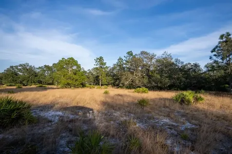 0 Lake Hatcheneha Haines City FL 33844