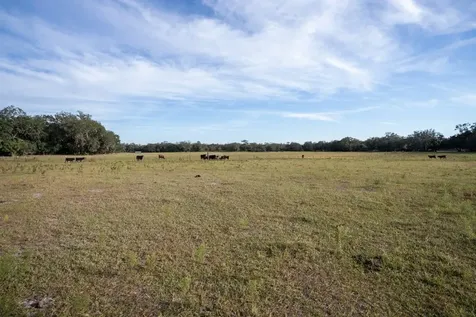 0 Lake Hatcheneha Haines City FL 33844