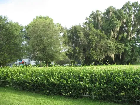 555 SW 87th Place Ocala FL 34476