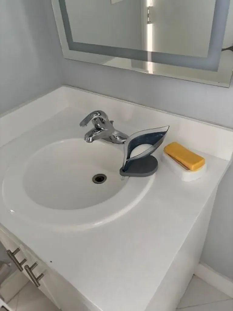 1811 Sabal Palm Davie FL 33324
