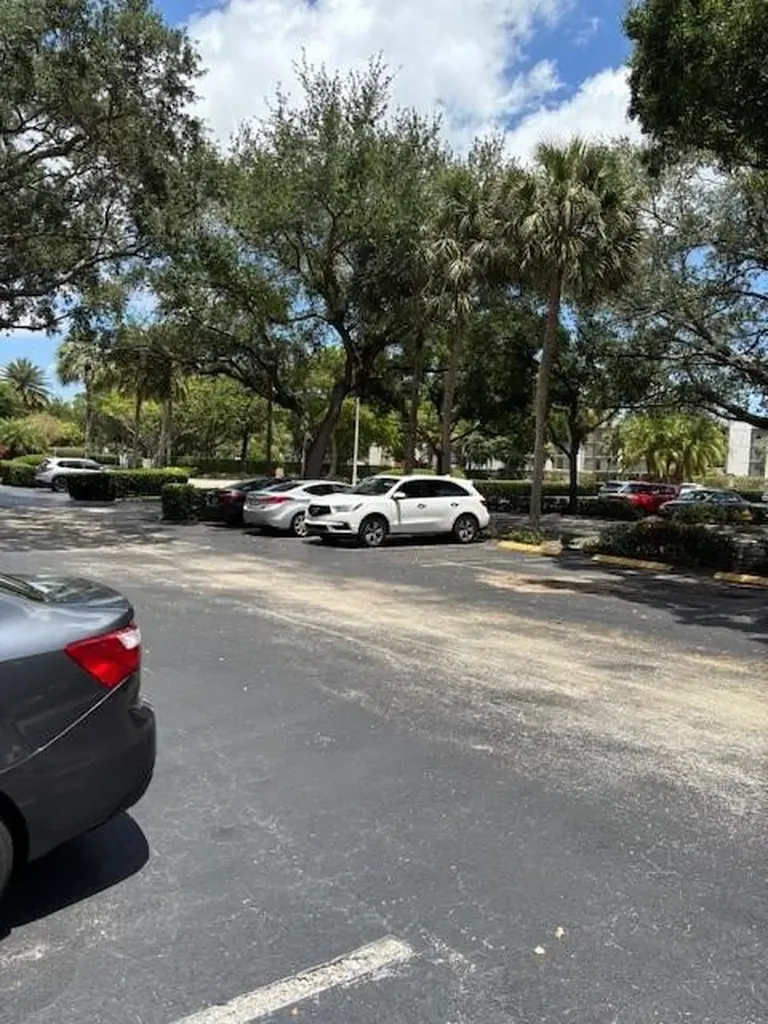 1811 Sabal Palm Davie FL 33324