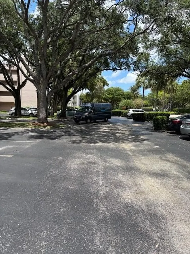 1811 Sabal Palm Davie FL 33324