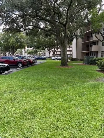 1811 Sabal Palm Davie FL 33324