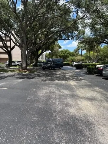 1811 Sabal Palm Davie FL 33324