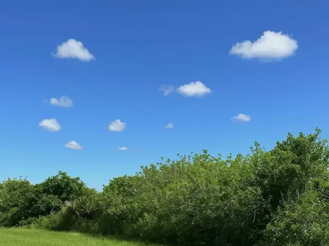 6617 SE 26th Trail Okeechobee FL 34974
