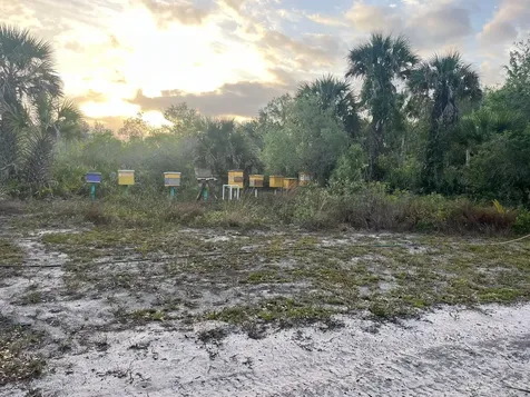 15148 NW 288th Street Okeechobee FL 34972