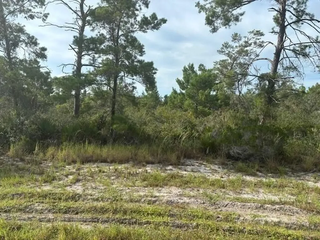 533 Boylston Street Lake Placid FL 33852