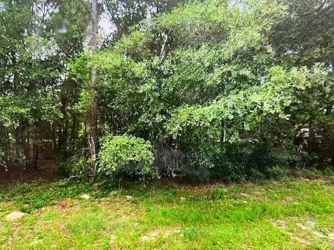 9550 N Quarry Drive Citrus Springs FL 34434
