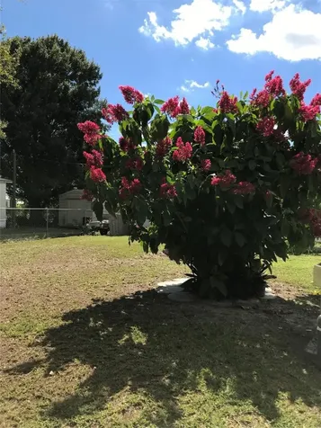 1192 Chobee Street Okeechobee FL 34974