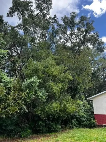 000 Silver Course Loop Ocala FL 34472