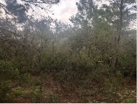 0 Alturas Babson Park Cutoff Road Lake Wales FL 33859