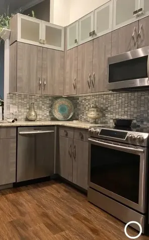 8223 Springlake Drive Boca Raton FL 33496