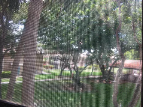 7247 Ashmont Circle Tamarac FL 33321