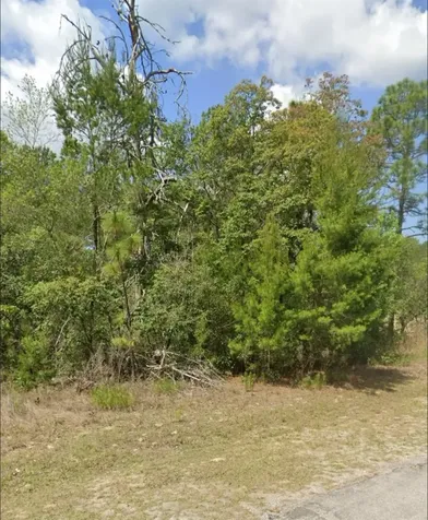 3808 W Indian Rock Place Citrus Springs FL 34433